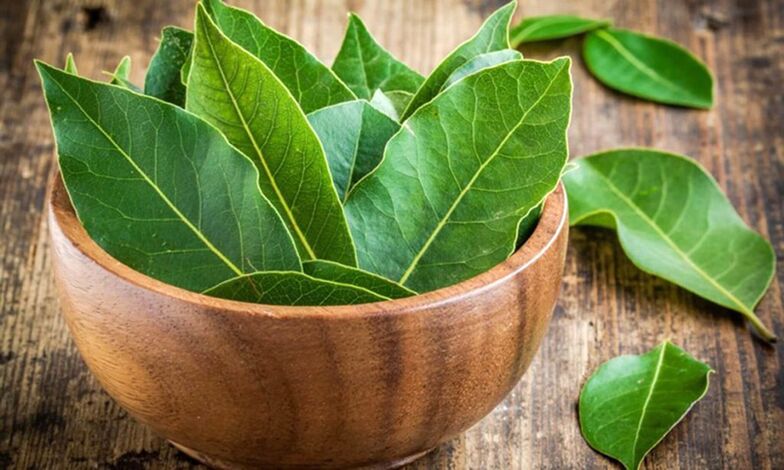 Daun salam