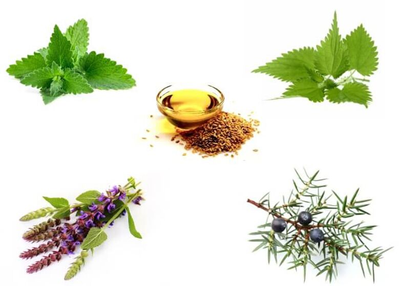 Mint, jarm, thyme, jasdi sareng minyak linseed