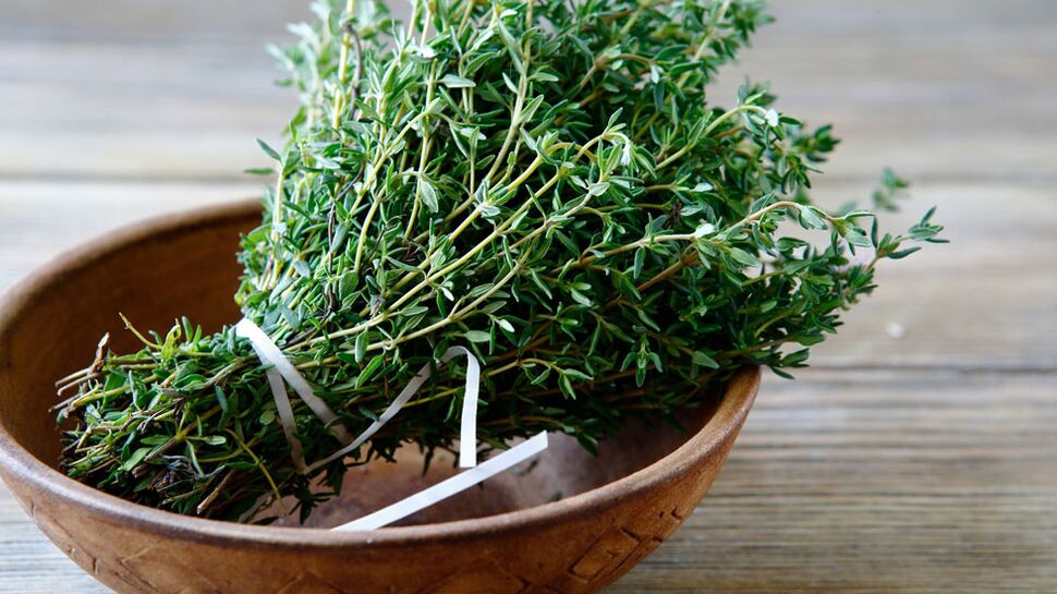 thyme pikeun ngaronjatkeun potency